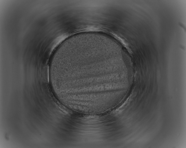 X0000091851171200709261201