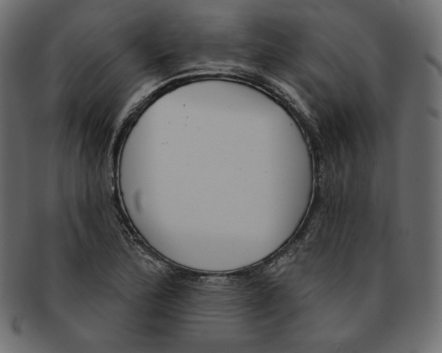 X0000091851172200709261201