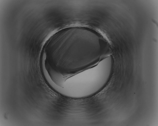 X0000091851173200709261201