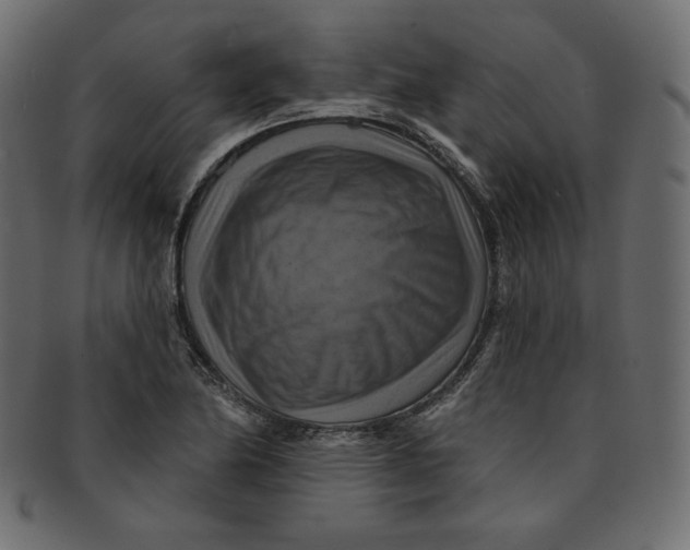 X0000091851174200709261201