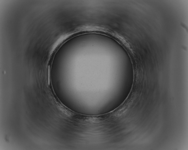 X0000091851175200709261201