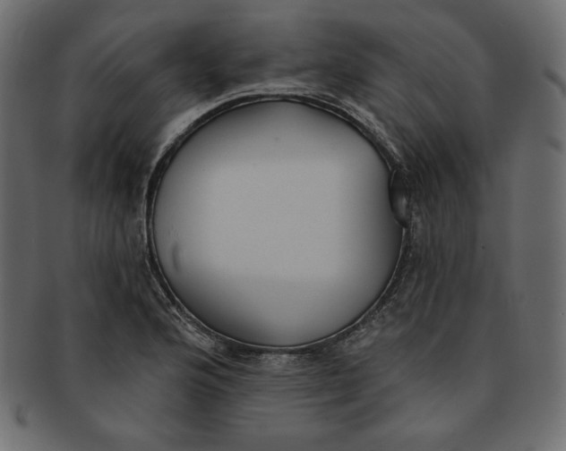 X0000091851176200709261201