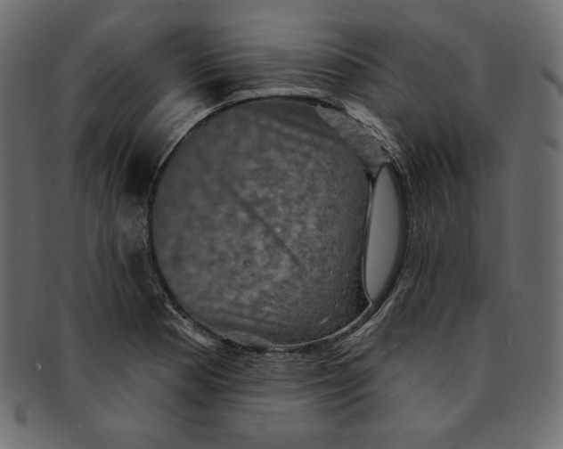 X0000091851177200709261201