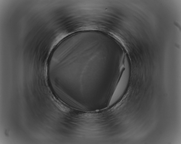 X0000091851179200709261201