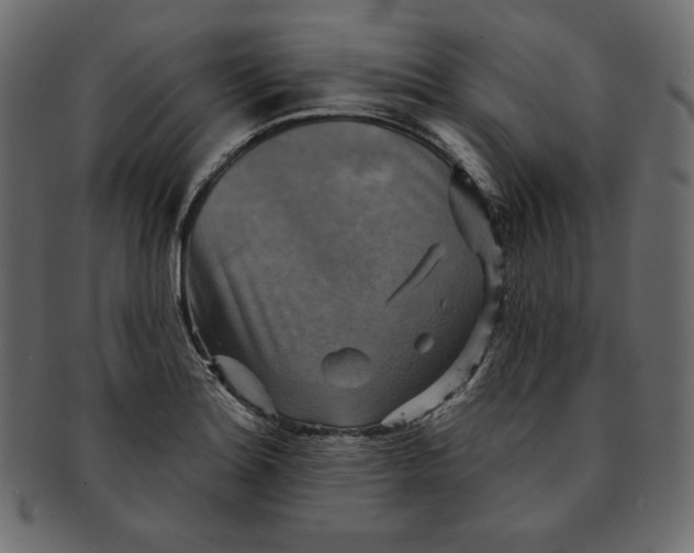 X0000091851180200709261201