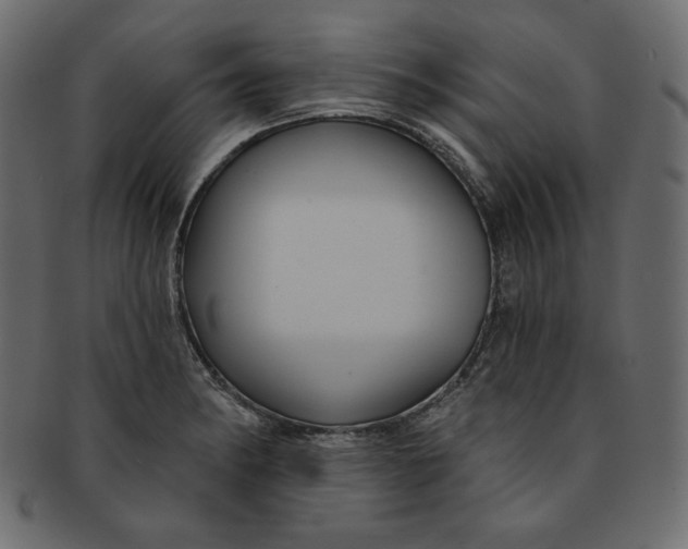 X0000091851182200709261201