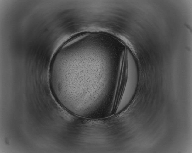 X0000091851183200709261201