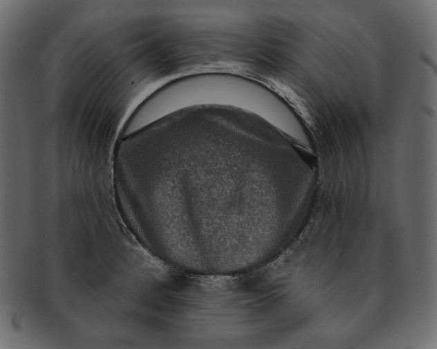 X0000091851184200709261201