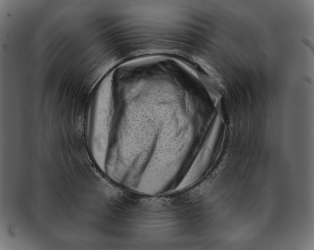 X0000091851185200709261201