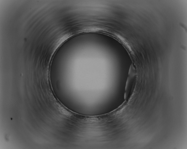 X0000091851186200709261201