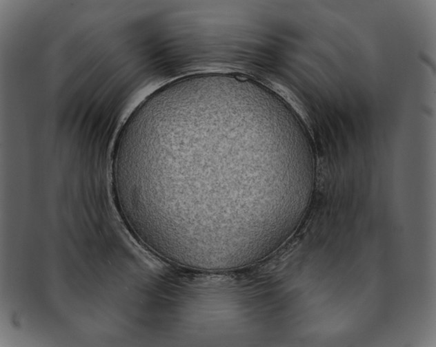 X0000091851187200709261201