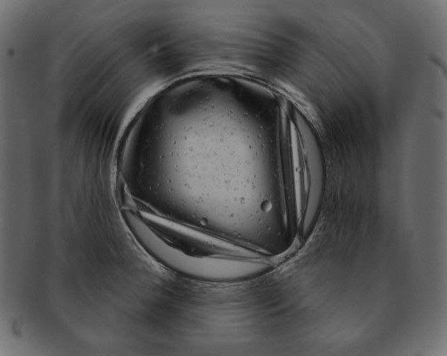 X0000091851188200709261201