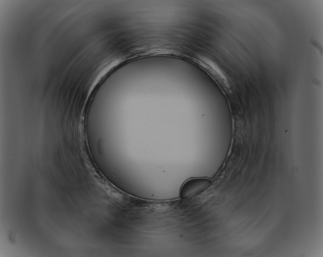 X0000091851190200709261201