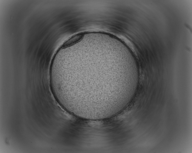 X0000091851191200709261201