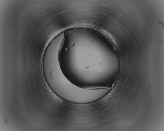 X0000091851192200709261201