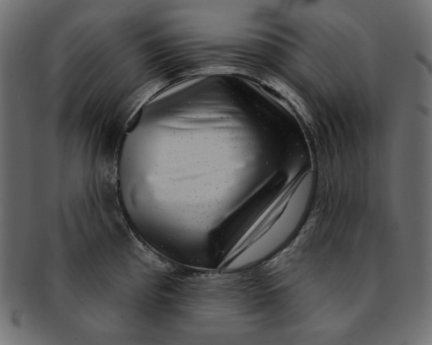 X0000091851193200709261201