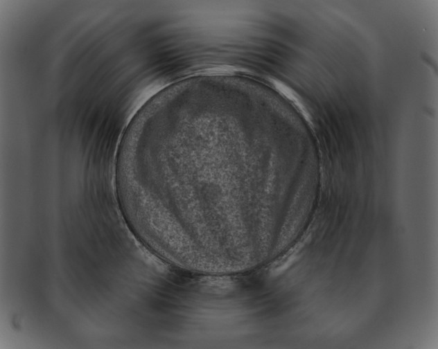 X0000091851194200709261201