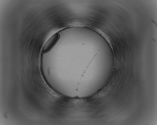 X0000091851195200709261201