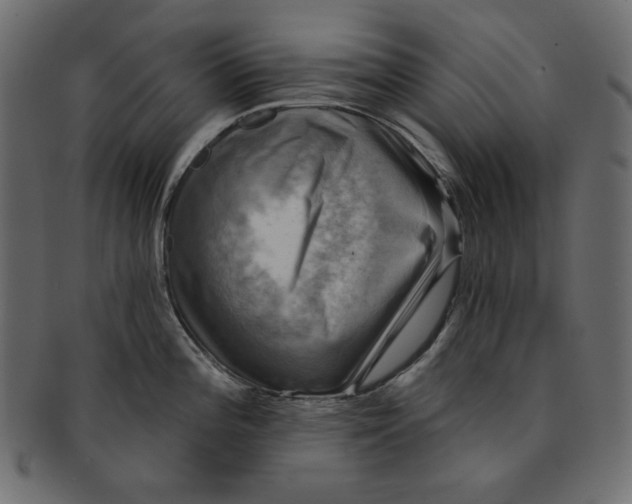 X0000091851196200709261201