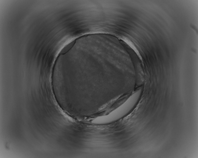 X0000091851197200709261201