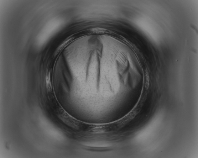 X0000091851198200709261201