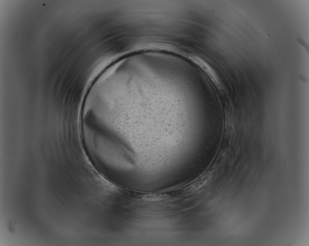 X0000091851199200709261201