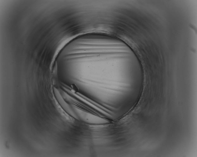 X0000091851200200709261201