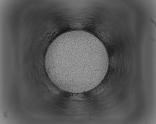 X0000091851201200709261200