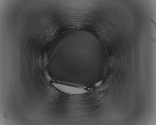 X0000091851202200709261200