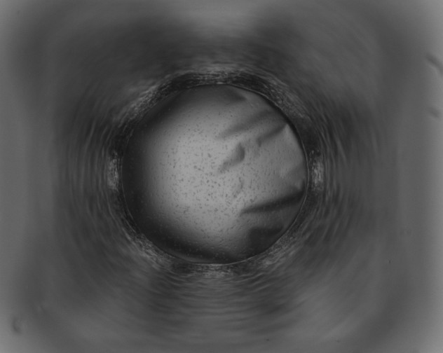 X0000091851204200709261200