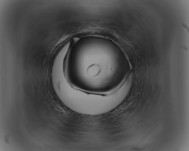 X0000091851206200709261200