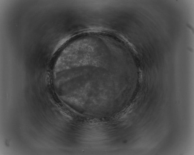 X0000091851208200709261200