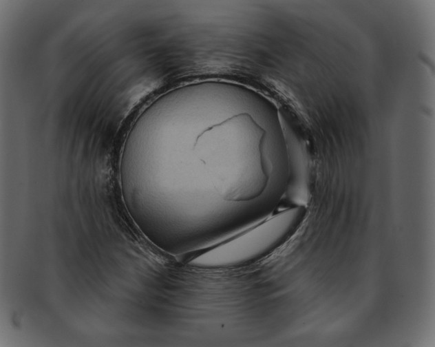 X0000091851210200709261200