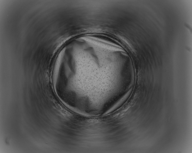 X0000091851212200709261200