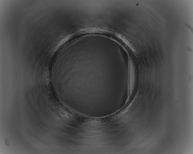 X0000091851213200709261201