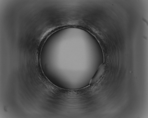 X0000091851214200709261201