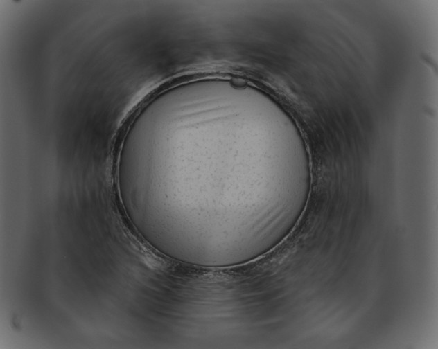 X0000091851216200709261201