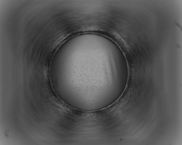 X0000091851217200709261201