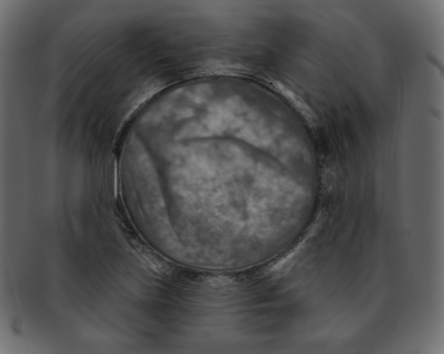 X0000091851219200709261201