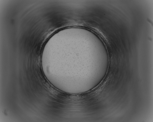 X0000091851220200709261201