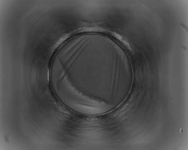 X0000091851221200709261201