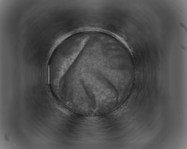 X0000091851223200709261201