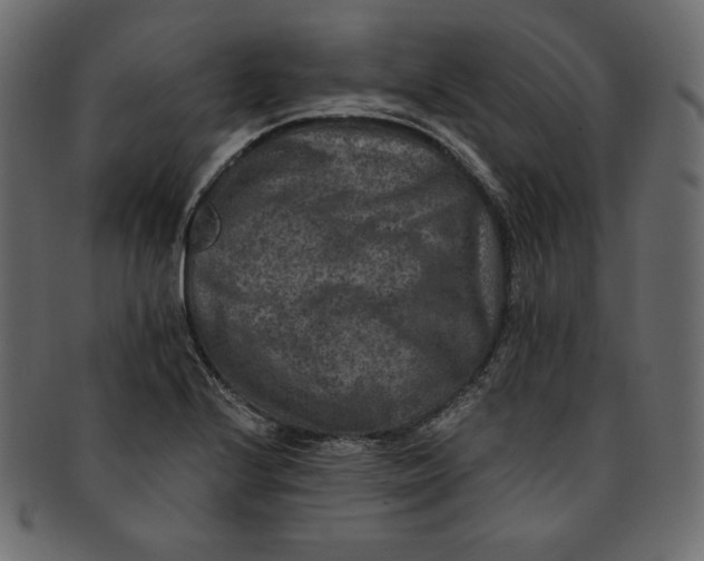 X0000091851224200709261201