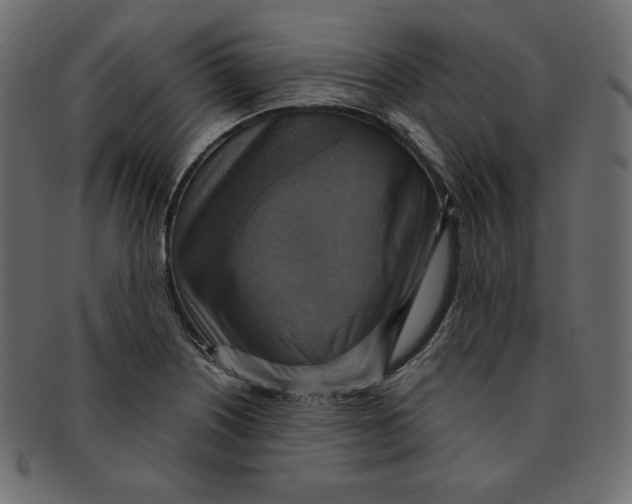 X0000091851226200709261201