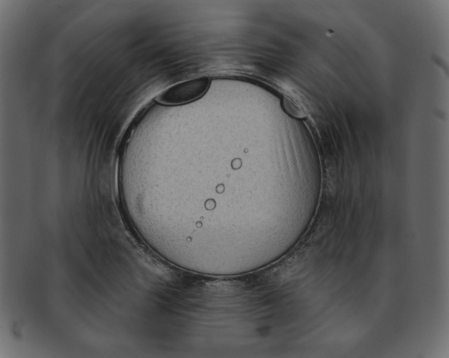 X0000091851227200709261201