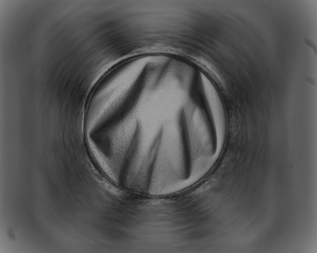 X0000091851228200709261201