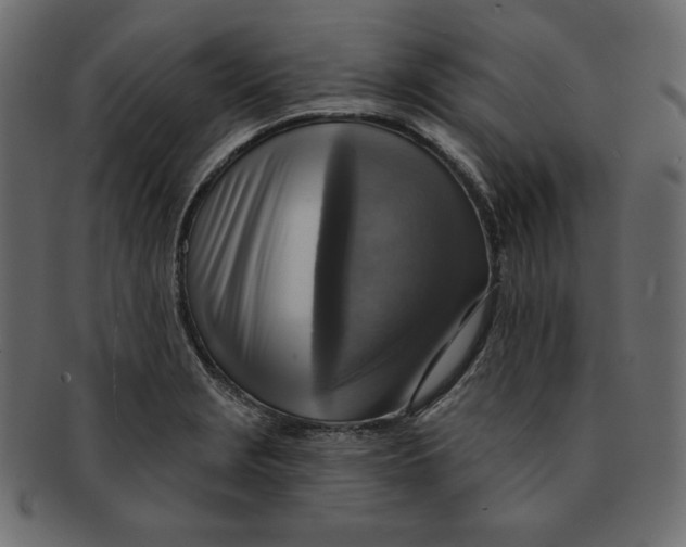 X0000091851229200709261201