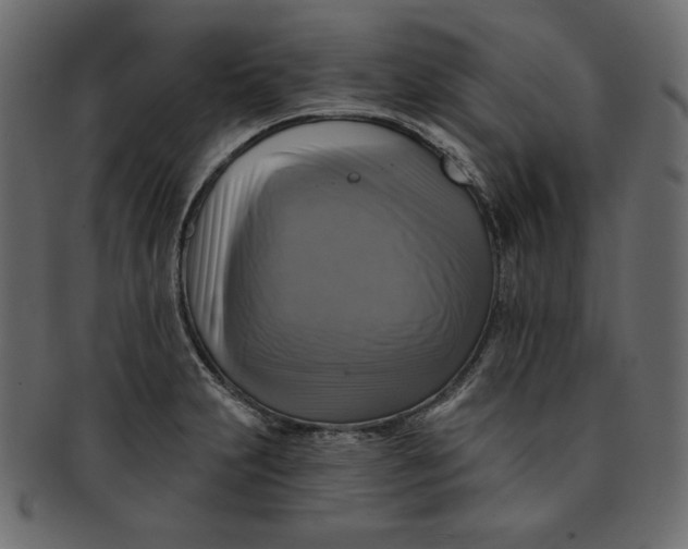 X0000091851231200709261201