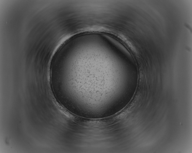 X0000091851232200709261201