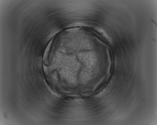 X0000091851233200709261201